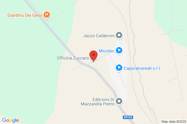 Zuccaro giorgio