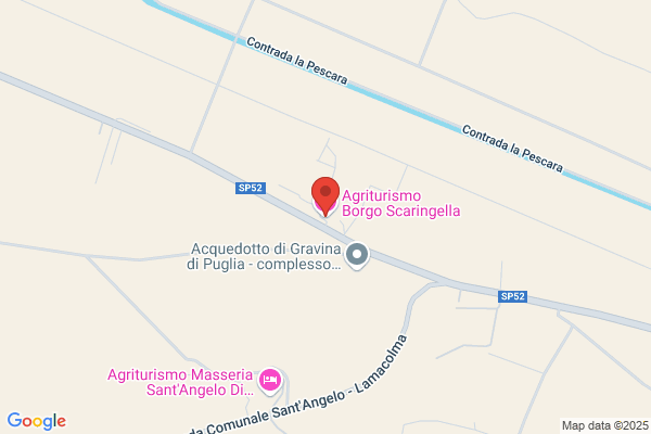 Scaringella teresa