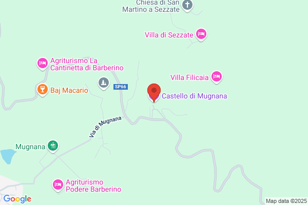 Faloci Valentina