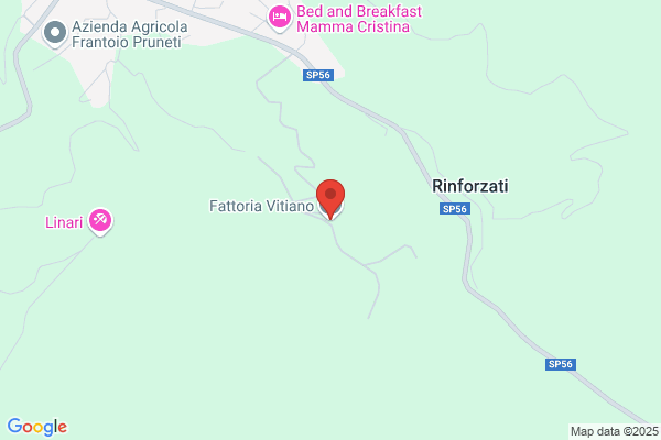 Fattoria Vitiano