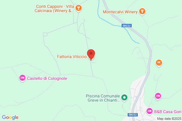 Fattoria Viticcio Srl