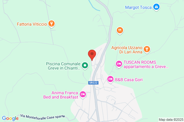 Pagni emilio
