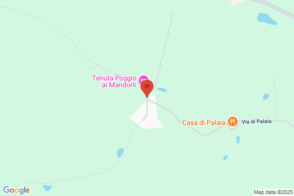 Trambusti stefano