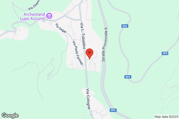 Albrigi Srl