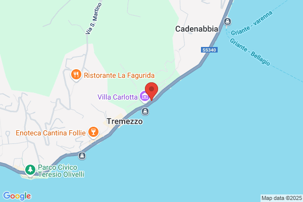 Micheli massimo