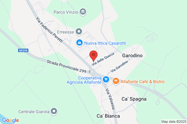 Carta Godio