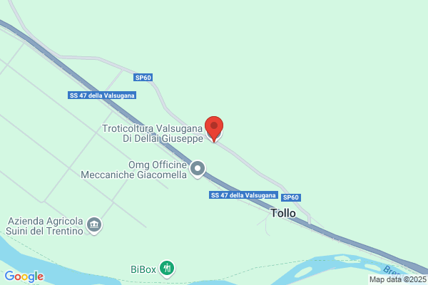 Troticoltura Valsugana Di Dellai Giuseppe