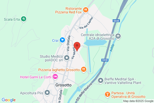 Olcelli egidio (Geom.)