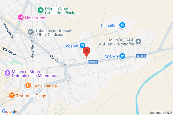 Officina Petrini Revisioni