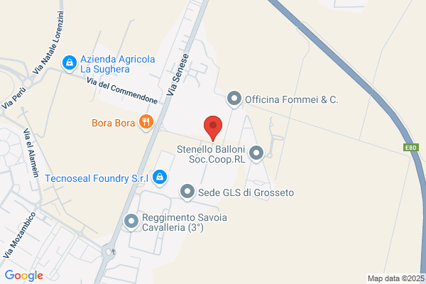Federaz. Ital. Gioco Calcio A.I.A.