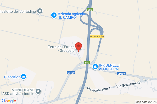 Ufficio Moderno Dell Etruria S. R. L.