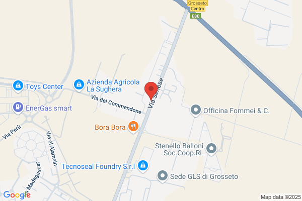 Forze Armate-Esercito