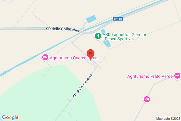 Vivaio Garden Center
