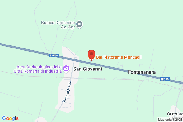 Mencagli dino