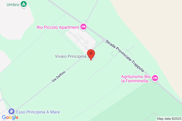 Vegni fernando