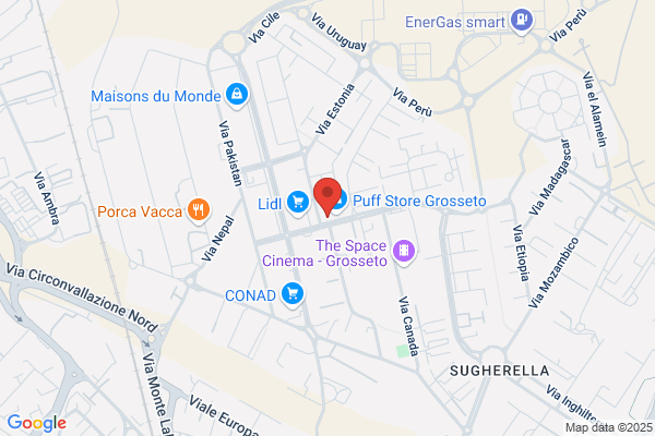 Partito Democratico Della Sinistra Un.Com.Grosseto