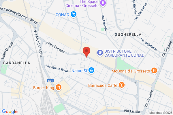 Copy-Rex Srl