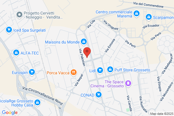 Palmieri Commerciale Srl