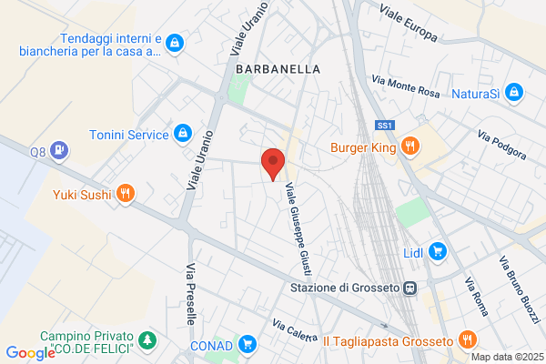 Maremma Cane Di Sovani Sara