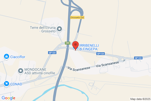 Renieri Commerciale
