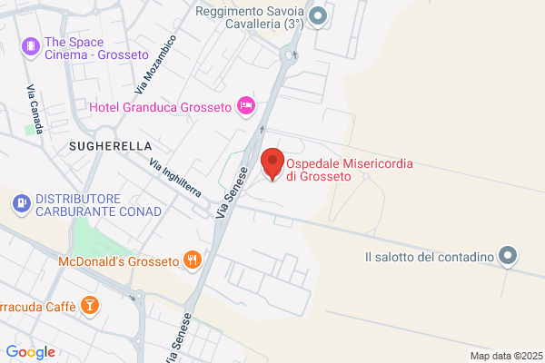 Misericordia Di Grosseto