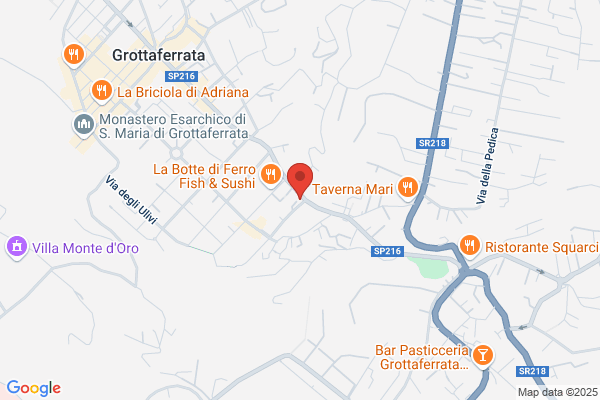 Spalletta giorgio (Geom.)