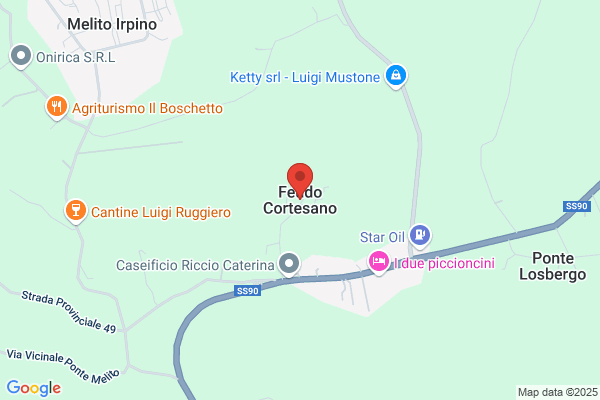 Ferriero Amerigo
