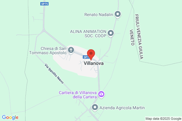 Villanova michele
