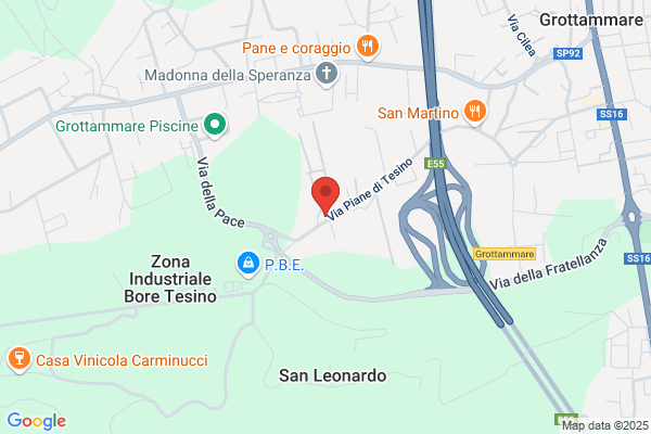 Lamponi & Ricci S.N.C.