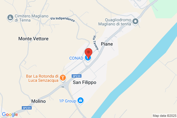 Tf Articoli da Regalo
