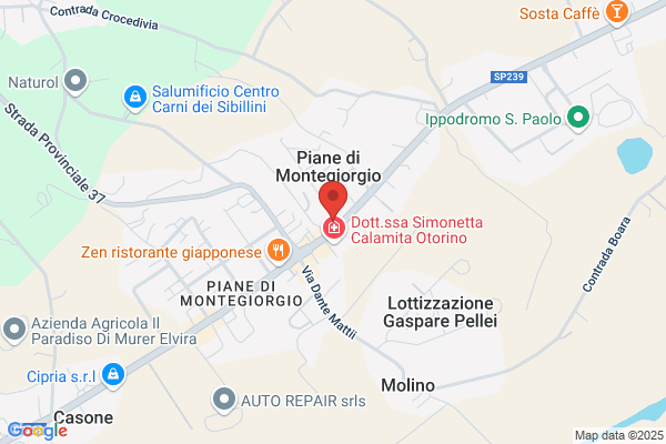 Fiori e Piante Beleggia