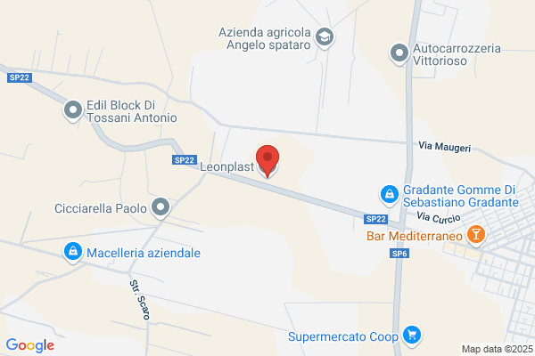 Leonplast