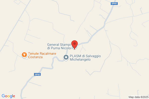 General Stampi di Puma Nicolo