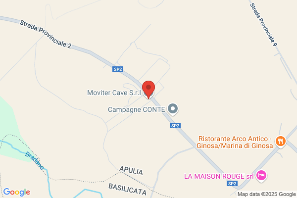 Moviter
