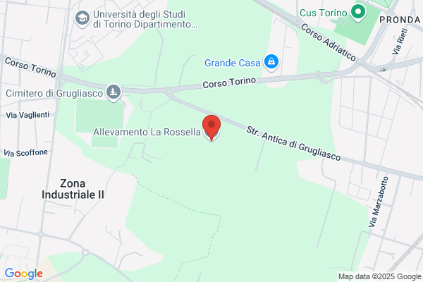 Allevamento La Rossella