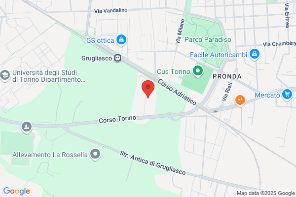 M.T.U. S.R.L.