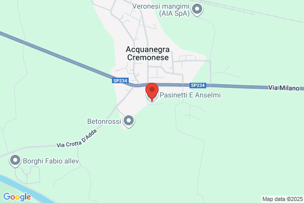 Autotrasporti Pasinetti e Anselmi