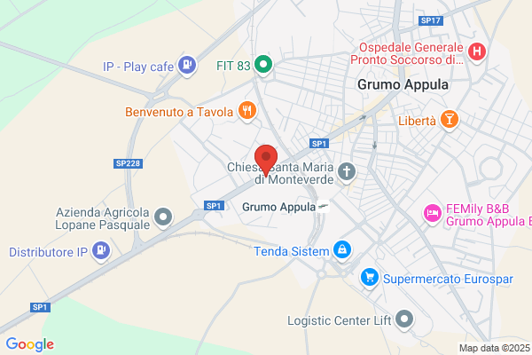 Istituto Tecnico Commerciale T. Fiore