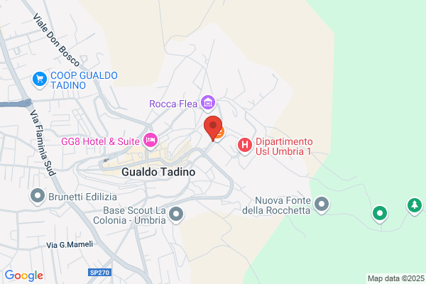 Paoli Flavio Autotrasporti