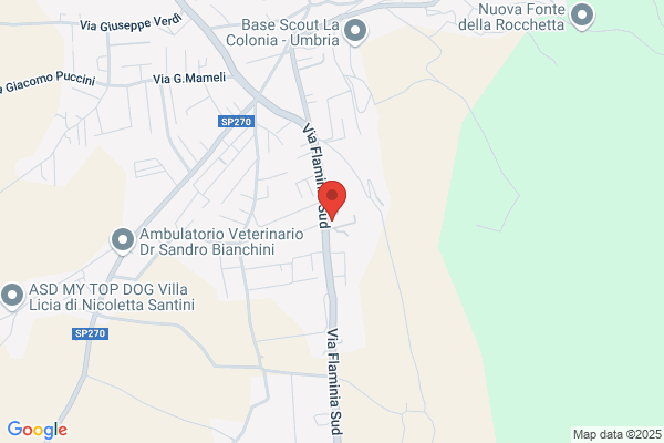 Siri Srl Sistemi Riproduzione Immagini