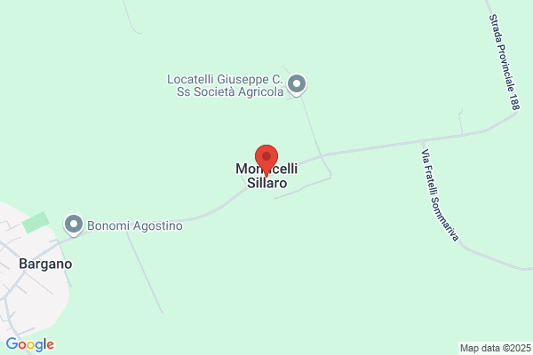 Monticelli enrico