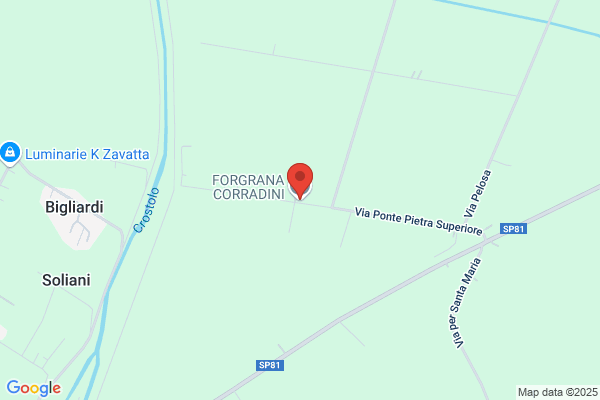 Forgrana Corradini (S.P.A.)