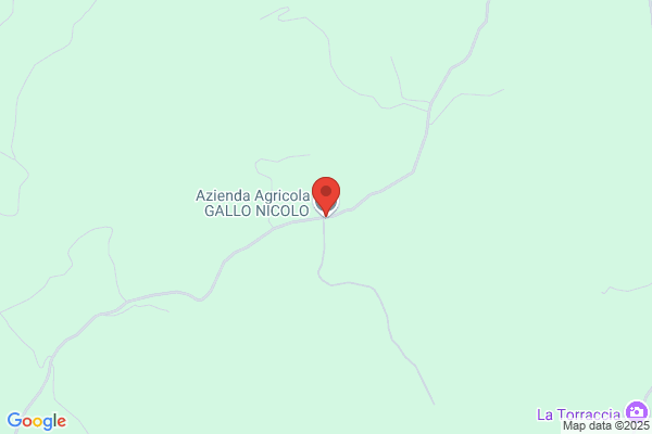 Gallo Nicola