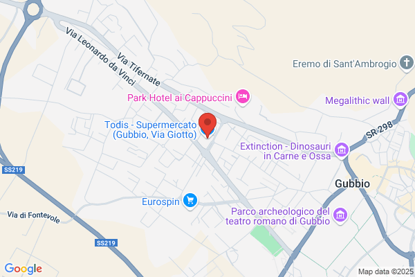 Supermercato Todis