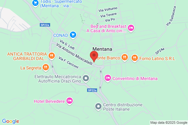 ITALIANA ASSICURAZIONI Mentana
