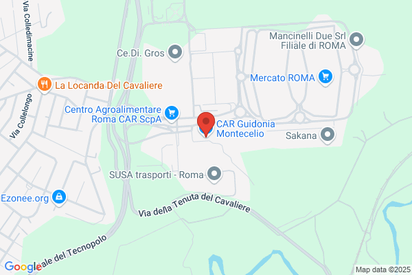Guidonia Trasformazioni Carni Srl