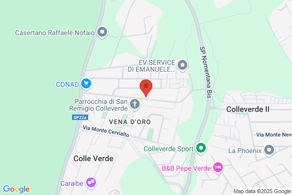 Vis Medica Srl