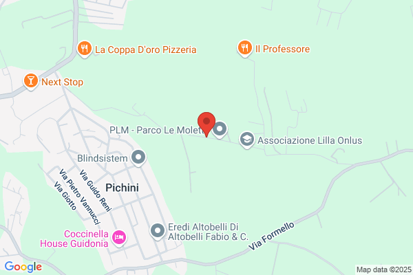 Piccinini ulisse