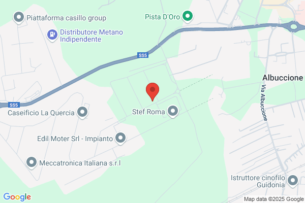 Plenzich Srl