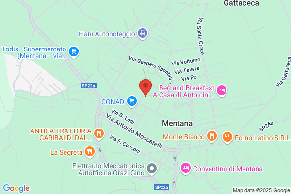 Medicenter Mentana Srl